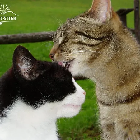 Haus Brandstatter ケットシャッハ＝マウテン