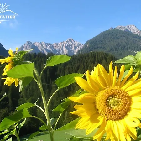 Haus Brandstatter ゲストハウス ケットシャッハ＝マウテン