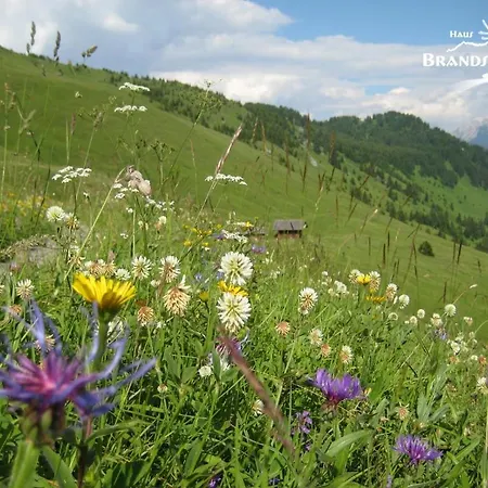 Haus Brandstatter ケットシャッハ＝マウテン