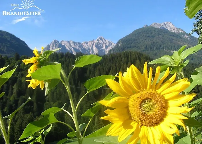 Haus Brandstatter Guest house Kotschach-Mauthen