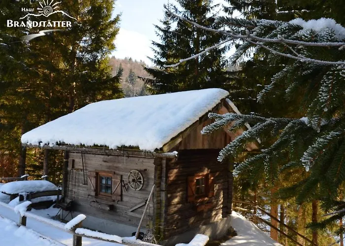 Haus Brandstatter Guest house Kotschach-Mauthen